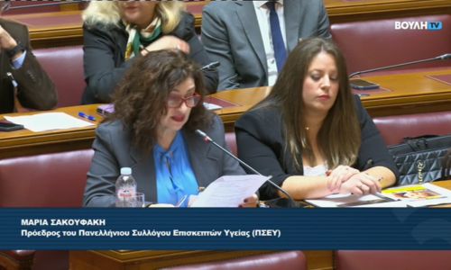 Συμμετοχή του ΠΣΕΥ στη Διαρκή Επιτροπή Κοινωνικών Υποθέσεων της Βουλής